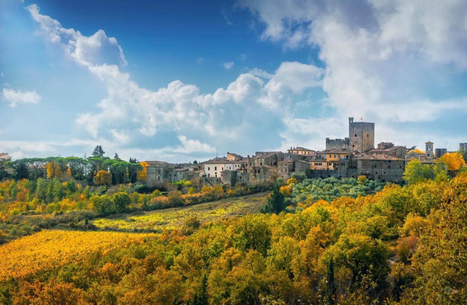 Al Poggio Della Capannina Di Castel Apartment Castellina in Chianti Ngoại thất bức ảnh